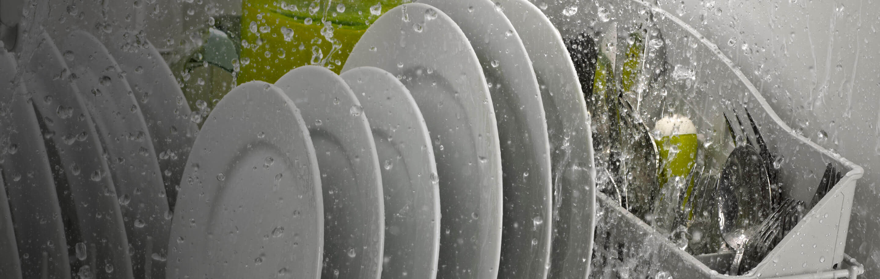Front interior view of dishes loaded in dishwasher.