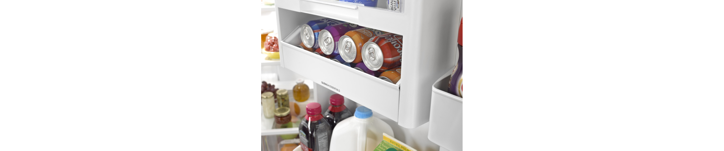 Refrigerator can storage