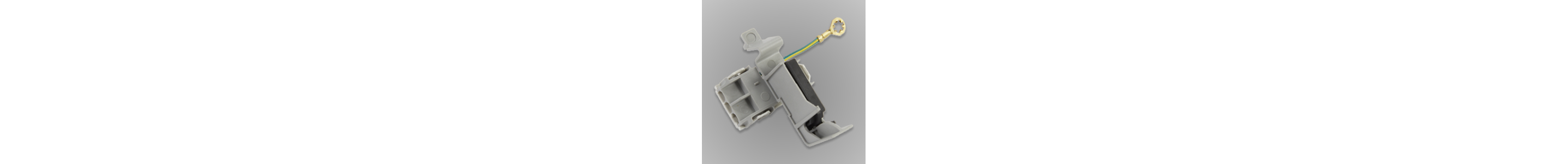 Lid switch